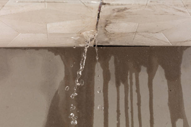 Professional Water Extraction technician working in Roy, UT